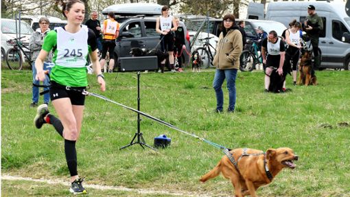 161 Läufer rannten und radelten mit ihren Hunden bei den süddeutschen Meisterschaften in Bitz um die Wette – beziehungsweise wurden von diesen gezogen. Foto: Ulrike Zimmermann