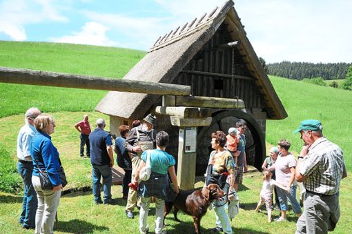 Immer wieder sammelten sich Besucher an der Mooswaldmühle. Foto: Ziechaus Foto: Schwarzwälder Bote