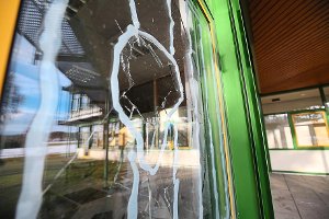 Mit einem Stein haben Einbrecher in der Nacht von Montag auf Dienstag Scheiben an der Realschule am Salinensee eingeschlagen, um ins Gebäudeinnere einzudringen.  Foto: Eich