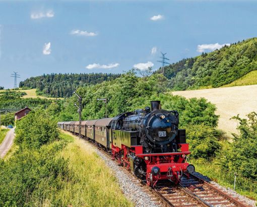 Mittel aus dem Tourismusinfrastrukturprogramm des Landes erhalten die städtischen Bahn­betriebe  für die geplanten  Sanierungen an der Blumberger Museumsbahn.  Foto: Sauter