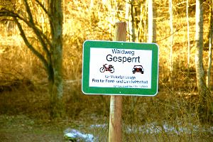 Im Schwarzwald-Baar-Kreis bleiben etliche Wälder wegen der Aufräumarbeiten bis Ende der Woche gesperrt. (Symbolfoto) Foto: Rapthel-Kieser