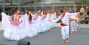 Zahlreiche Tanzgruppen sorgen dafür, dass das Straßenfest wirklich bunt wird. Foto: Stadt Altensteig Foto: Schwarzwälder Bote