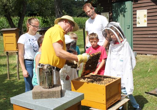 Der Imker zeigt den Kindern die Bienenwaben. Foto: Musikverein Foto: Schwarzwälder Bote