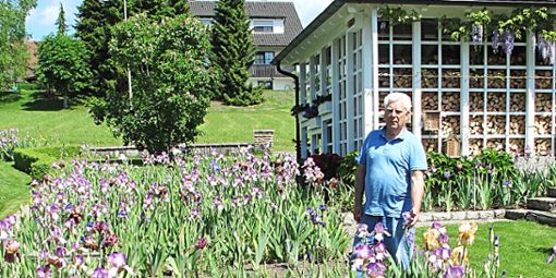 Hobbygärtner Friedolin Hagg  inmitten seines IBenzinger Irisgartens.  Foto: Gauggel Foto: Schwarzwälder Bote