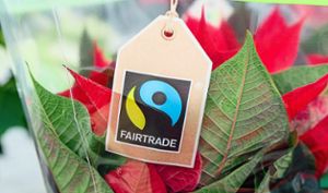 Themen wie Fairtrade, Nachhaltigkeit und Klimaschutz werden bei verschiedenen Veranstaltungen im Rahmen der Zukunftswoche in St. Georgen aufgegriffen. Foto: Scholz Foto: Schwarzwälder Bote