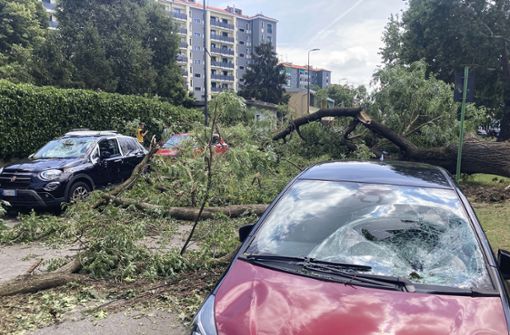 Ein Baum liegt neben beschädigten Autos. Starke Orkanböen sowie schwerer Hagelschauer und Regenfälle sorgten für umgestürzte Bäume, blockierte Straßen und beschädigte Häuser. Foto: AP/dpa/Luca Bruno