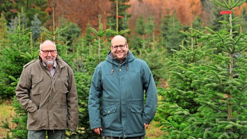 Vater Eberhard Wangner (links) gründete den Weihnachtsbaumverkauf in Effringen im Jahr 1982. Dieses Frühjahr übernahm sein Sohn Thomas den Betrieb. Foto: Menzler