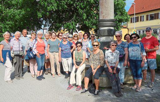 Die Teilnehmer haben bei der Führung in Rosenfeld viel Interessantes über die Brunnen in der Stadt erfahren.  Foto: Privat Foto: Schwarzwälder Bote