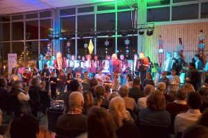 Beim Konzert Dezemberträume zeigt vor allem der Nachwuchs des Akkordeonvereins,  was er kann.  Foto: Appel Foto: Schwarzwälder-Bote