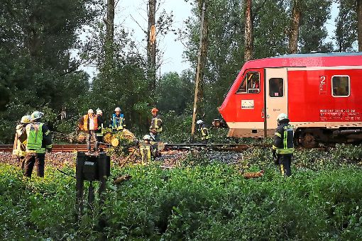 Die Feuerwehr musste die Gleise von dem Baum befreien, anschließend konnte der Zug seine Fahrt fortsetzen.  Foto: Eich