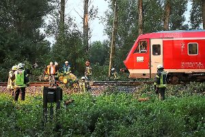 Die Feuerwehr musste die Gleise von dem Baum befreien, anschließend konnte der Zug seine Fahrt fortsetzen.  Foto: Eich