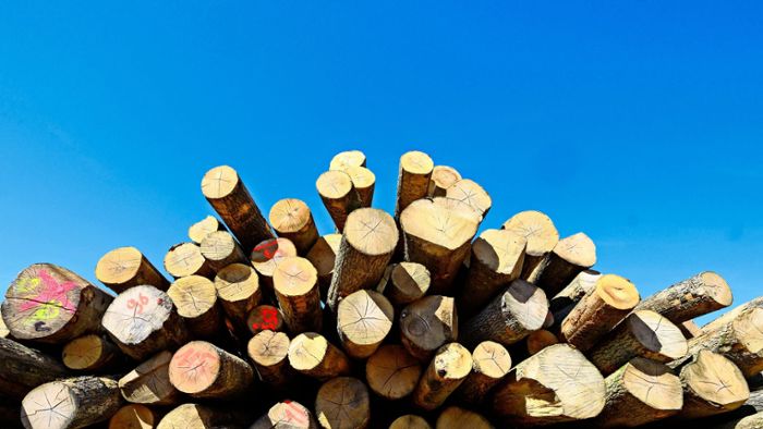 Buchenholz kann in Kippenheim nur noch ersteigert werden