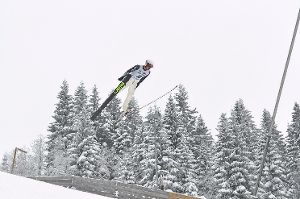 Einen Spitzenplatz im FIS-Cup verzeichnete in Hinterzarten auch Petrick Hammann vom SV Baiersbronn.  Foto: Schwark