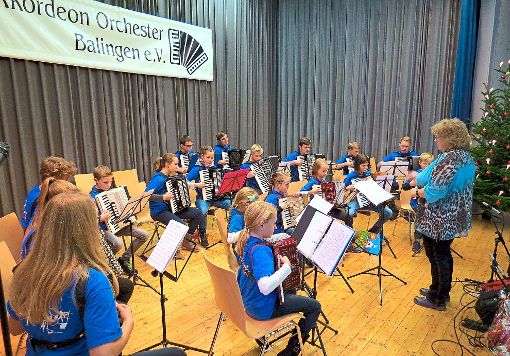 Das Jugendorchester gibt den musikalischen Auftakt zu der Veranstaltung. Foto: Akkordeonorchester Foto: Schwarzwälder-Bote