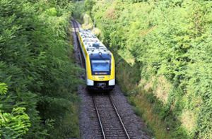 Ein Zug bei Bisingen Foto: Kauffmann