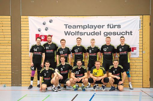 Für ein letzte Überraschung ging den Volleyball-Herren des TSV Freudenstadt am Ende die Kraft aus.  Foto: TSV Foto: Schwarzwälder Bote