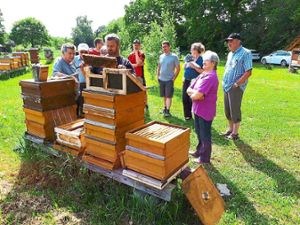 Thomas Klingler, Vorsitzender der Haigerlocher Bienenfreunde, gab bei den Bienenständen am Seewäldle wichtige Tipps für die Königinnenzucht. Foto: Schullian Foto: Schwarzwälder Bote