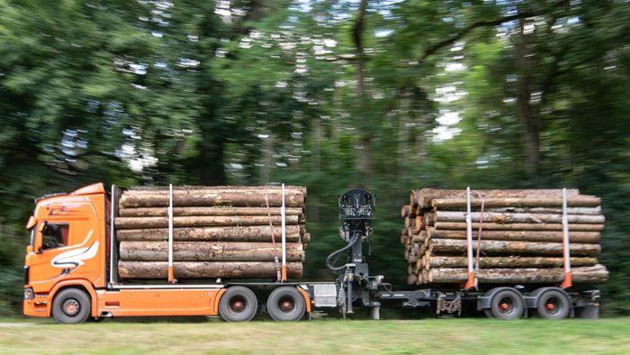 Schadensausgleich  und Schutz durch schwerere Holztransporte