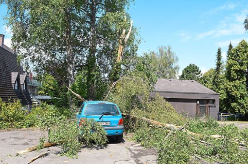 Ein Blitz schlug in Sulgen mit Karacho in eine Birke beim Feriendorf Eckenhof ein. Der Baum fiel auf ein parkendes Auto. Foto: Herzog
