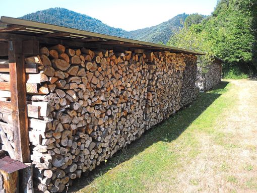 Ordentlich Gewinn hat die Gemeinde Bad Rippoldsau-Schapbach in ihrem Wald erwirtschaftet. Foto: Jehle Foto: Schwarzwälder Bote