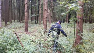 Polizisten durchsuchen den Wald nahe des Tatorts bei Villingendorf. Foto: Horst/Schwenk