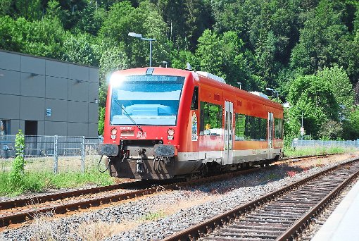 Bei der Hessebahn sollen zunächst  die gleichen Züge wie bei der Kulturbahn fahren. Foto: Archiv