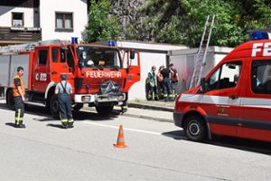 Die Feuerwehren von Lauterbach und Schramberg waren mit jeweils zwei Fahrzeugen am Lauterbacher Brestenberg im Einsatz.  Foto: Borho