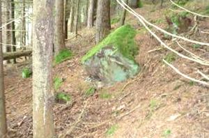 Vom Wald oberhalb der B462 droht Gefahr: Es gibt zahlreiche instabile Steinblöcke mit 200 bis 300 Kilogramm Gewicht. Foto: Laube