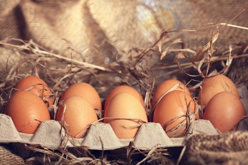 Nicht nur wegen frischer Eier lohnt sich ein Einkauf im Hofladen. Foto: Kichigin/ Shutterstock