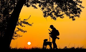 Ein Jäger spaziert mit seinem Hund im Sonnenuntergang. Ganz so idyllisch ist die Ausübung der Jagd nicht immer. Oft müssen die Waidmänner auch nachts ausrücken, um Unfallwild von den Straßen zu beseitigen. Foto: dpa
