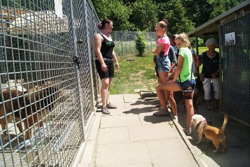 Cindy Koepnik, die künftige Leiterin des Tierheims, führt die Besucher durch den Hundetrakt. Foto: Schwarzwälder-Bote