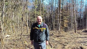 Erholungsfunktion spielt wichtige Rolle im Blumberger Wald