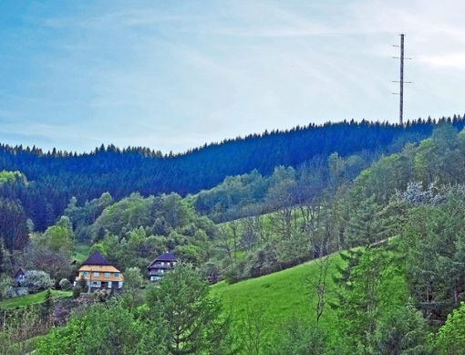 Eine von drei Konzentrationszonen: Der Burzbühl liegt im Bereich rechts vom Messturm über dem Bergbauernhof im Frohnbach. Archivfoto: Haas Foto: Schwarzwälder Bote