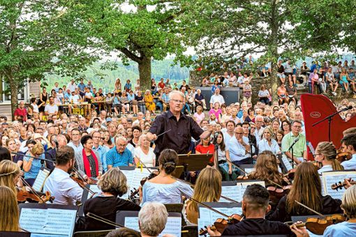 Das jüngste Sommerkonzert des Nagolder Kammerorchesters im Burghof der Hohennagold brach möglicherweise alle   Rekorde der Popularität.   Fotos: Fritsch Foto: Schwarzwälder Bote