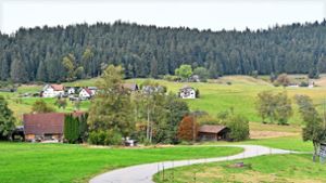 Alternative zu Kanalbau in Sulzbach?