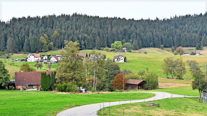 Alternative zu Kanalbau in Sulzbach?