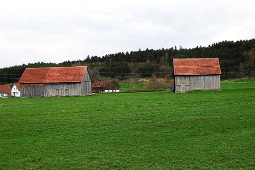 Am Westrand von Täbingen, wo diese zwei Schuppen stehen, wird ein neues Schuppengebiet ausgewiesen. Archiv-Foto: Hertle Foto: Schwarzwälder Bote