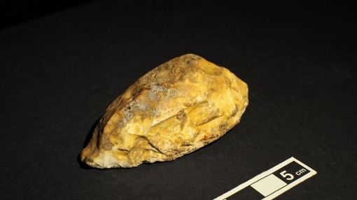 Ein Spitzschaber aus der mittleren Altsteinzeit wurde in Hausen gefunden. Foto: Landesamt für Denkmalpflege