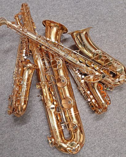 Am 18. Oktober steht bei der Musikschule die Instrumentenfamilie der Saxofone im Mittelpunkt. Foto: Musikschule Foto: Schwarzwälder Bote
