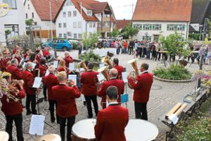 Der Musikverein Ergenzingen gab ein Benefizkonzert auf dem Marktplatz. Foto: Ranft Foto: Schwarzwälder Bote