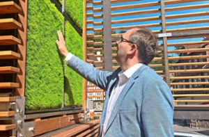 Calws Oberbürgermeister Florian Kling nimmt das Moos im Inneren des City Trees in Augenschein. Foto: Strienz
