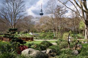 Der Luisenpark in Mannheim gehört zum Bundesgartenschaugelände. Foto: Burger