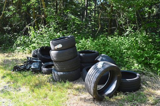 All die Reifen und Autoteile hat Landwirt Josef Sum aus seinem Wald aufgesammelt und an der Staigstraße abgestellt.  Foto: Herzog Foto: Schwarzwälder Bote