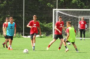 Noch einige Trainingseinheiten und zwei Testspiele haben die Balinger Regionalliga-Fußballer zu absolvieren, ehe sie in ihre zweite Saison in der Regionalliga Südwest starten. Foto: Eibner