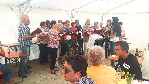 Ein  Sängerfest  hat der Liederkranz Isingen  unter dem Motto  Isingen, wir singen, alle singen veranstaltet.  Foto: May Foto: Schwarzwälder-Bote