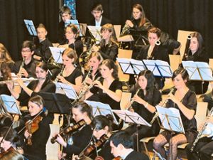 Das Sinfonieorchester der Jugendmusikschule spielt am 6. Mai im Triberger Kurhaus. Foto: Archiv Foto: Schwarzwälder Bote