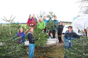 Der Nachwuchs des Tuninger Musikvereins packte  beim Einsammeln der Weihnachtsbäume an.  Foto: Bieberstein Foto: Schwarzwälder-Bote