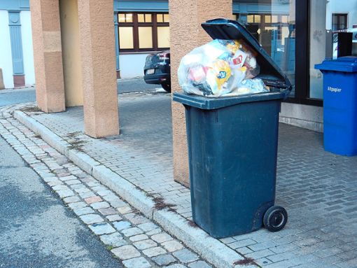 Wie von Zauberhand: Die Mülltonne quillt morgens plötzlich über – vor lauter fremdem Müll. Foto: Anwohner