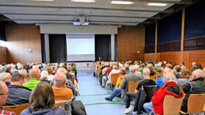 Einwohnerversammlung in Dornsttetn: Innenstadt soll lebendiger werden