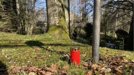 Immer mehr Menschen wünschen sich eine naturnahe Bestattung unter einem Baum wie hier auf dem Waldfriedhof in Schwenningen. Foto: Simone Neß